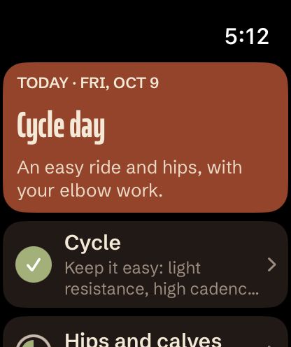 Wyllow on Apple Watch showing today's run/walk plan.